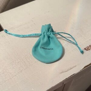 Tiffany & Co. Turquoise Jewelry Pouch only